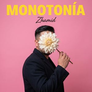 Monotonía
