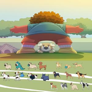 반려견 불안감 줄이는 피아노 솔로