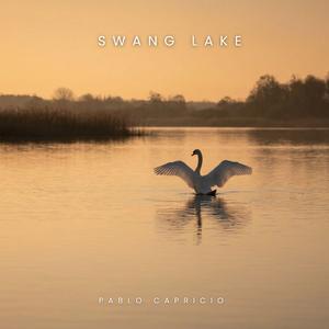 Swan Lake, Op. 20: Scène