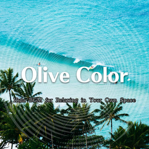 Lush Green Rainforest Harmony