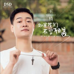 如果我们不曾相遇 (DJ何鹏版)