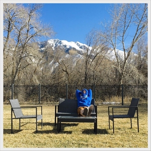 Don’t Bug the Slug