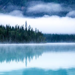 下雨声助眠（轻音乐舒缓放松纯音乐）