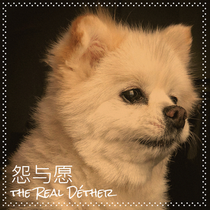 怨与愿