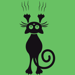 Guaruya (Guaracha Aleteo)