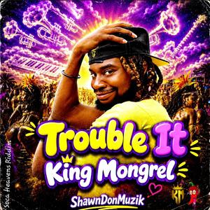 Trouble It