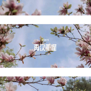 再次重逢