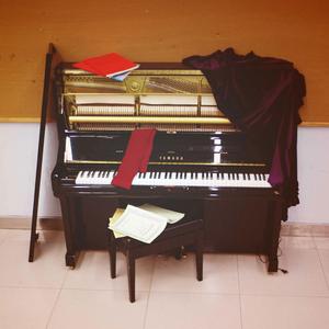 黑与杜鹃（2018年3月14重录）