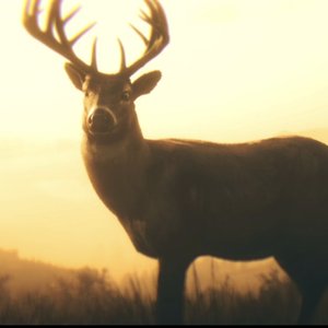 把爱当成悬案要用一生去试探