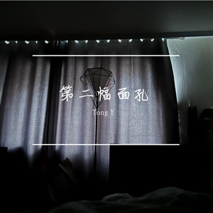 第二幅面孔