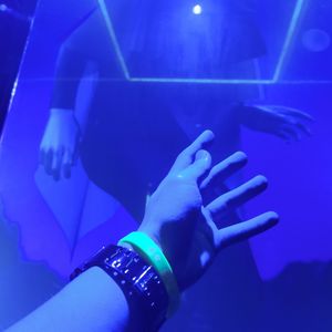 舒伯特玫瑰（翻自 蓝心羽）