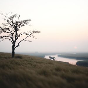 Мама