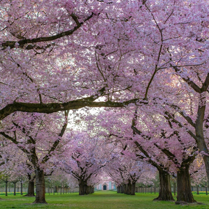 任尔东西南北风