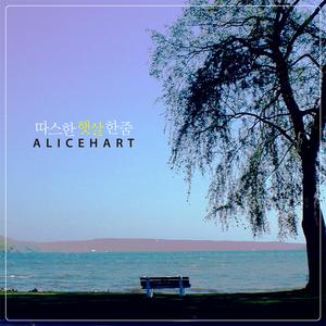 따스한 햇살 한 줌