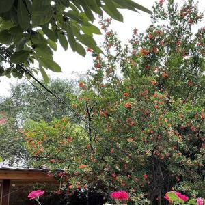 我不是你的宋冬野