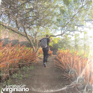 Virginiano