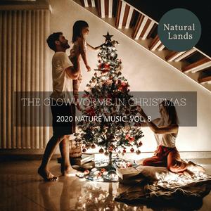 Cheerful Night Desert Aura