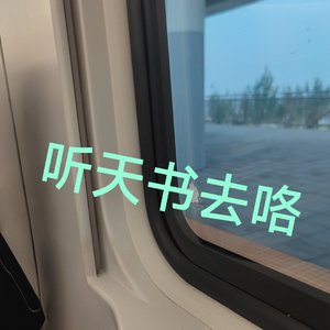 听天书
