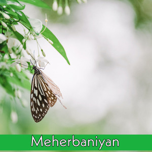 meherbaniyan