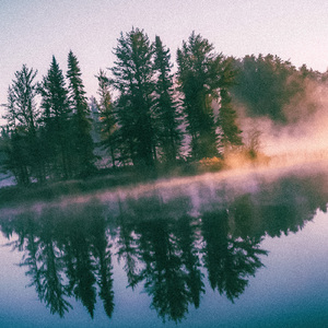 Meditation Field Of Essence