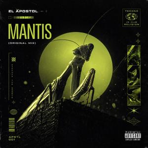 MANTIS (original mix)
