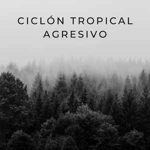 Tazones De Agua