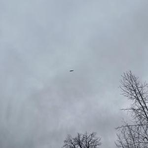 11 Am