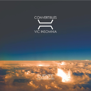 Puente (feat. Vic Insomnia)