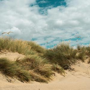 Dunes