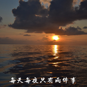 每天每夜只有两件事