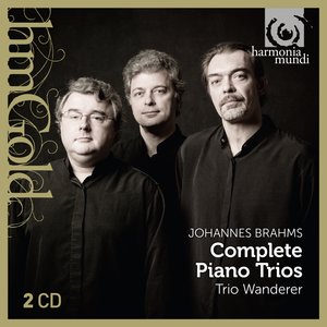 Trio No. 1 en Si Majeur, Op. 8: I. Allegro con moto