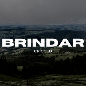 Brindar