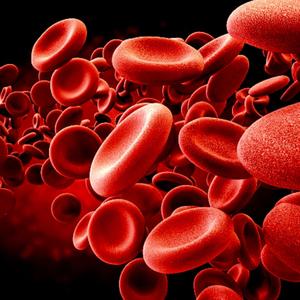 Blood