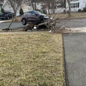 Handy Manny (feat. Snos)