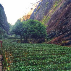 我只能扮演个绅士才能和你说说话