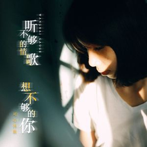 听不够的情歌想不够的你