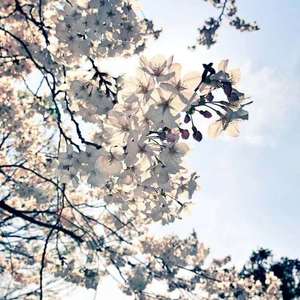 若你没走，若我还在