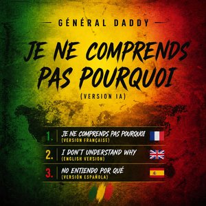 Je Ne Comprends Pas Pourquoi (Version Ia)