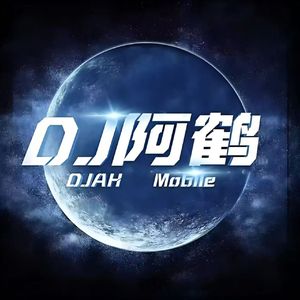 侧脸（dj阿鹤版）