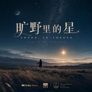 旷野里的星