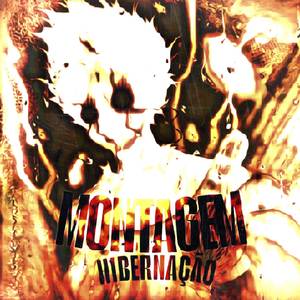 MONTAGEM HIBERNAÇÃO-Slowed