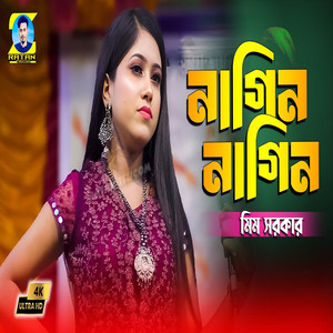 Nagin Nagin