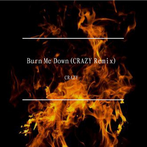 hanji-Burn Me Down（Extended Mix CRAZY Remix）