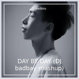 DAY BY DAY （dj badboy / tara remix）