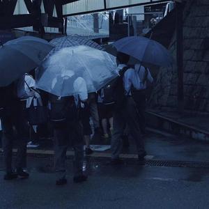 万有引力（翻自汪苏泷）