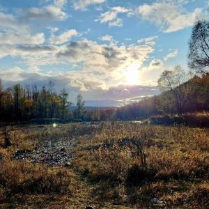 躲在感情墙角里的刺猬