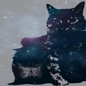 Toxoplasma