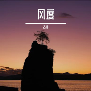 风度