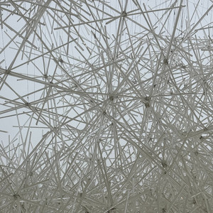 Beautiful Tomorrow(Cover)