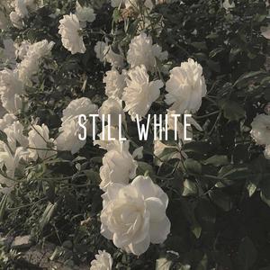 StillWhite